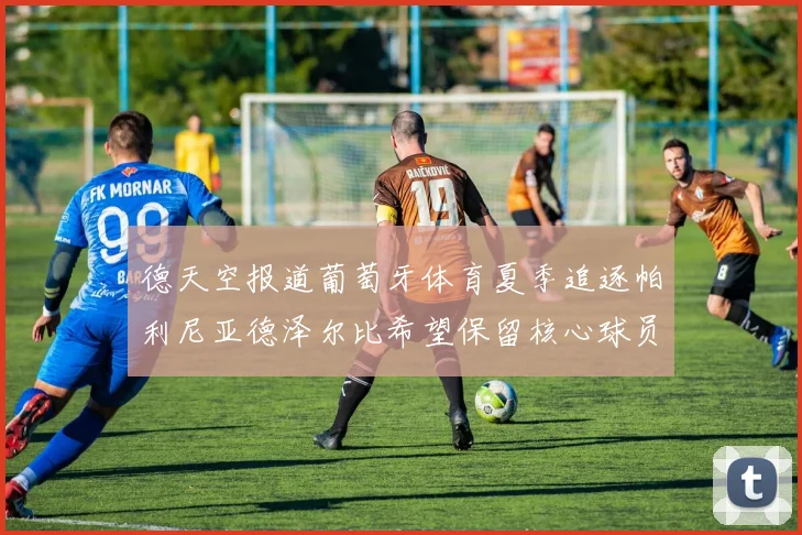 德天空报道葡萄牙体育夏季追逐帕利尼亚德泽尔比希望保留核心球员